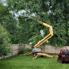 Best Tree Trimming and Pruning  in Lodi, WI