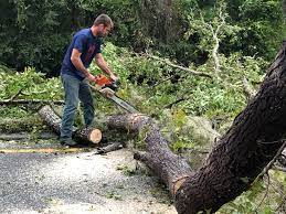 Best Lawn Grading and Leveling  in Lodi, WI