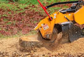 Best Lawn Renovation and Restoration  in Lodi, WI